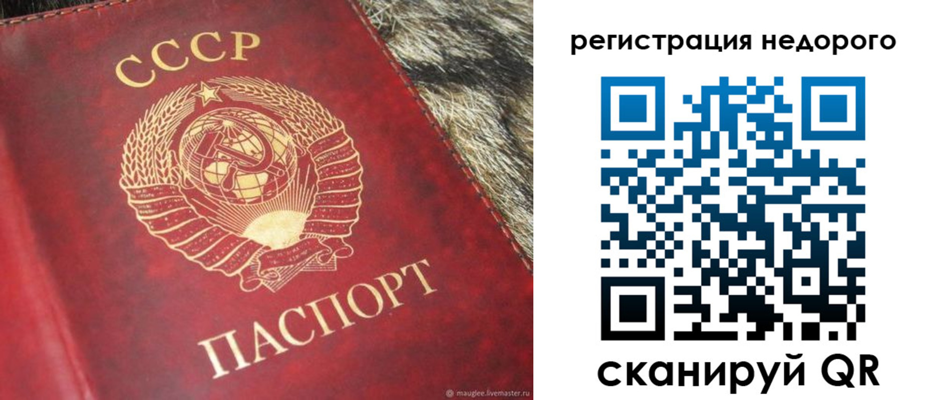 прописка ребенка в Новодвинске